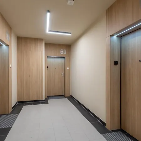 Old Town Blue Daire *